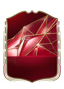 collection-type-image