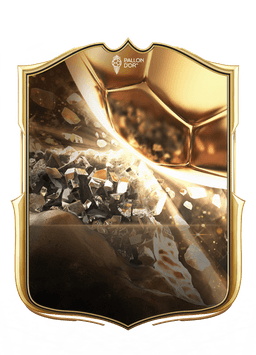 collection-type-image