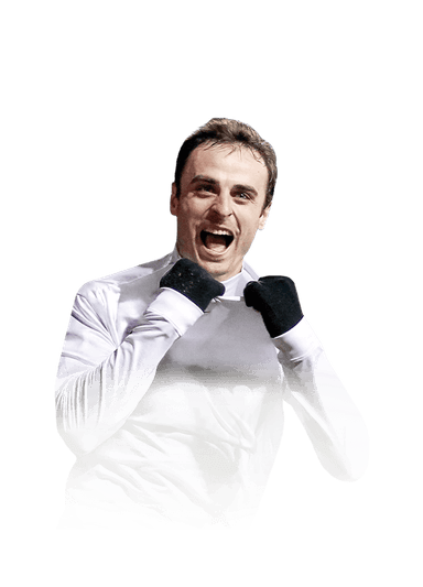Berbatov image