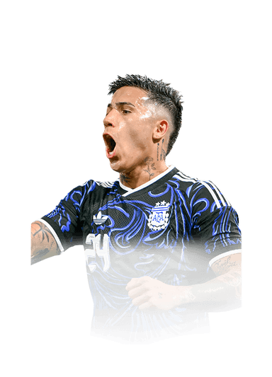 Fernández image