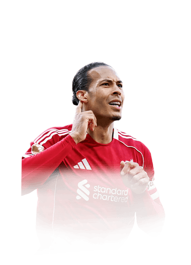 van Dijk image