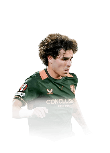 Miguel Rodríguez image