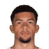 van Schooneveld image