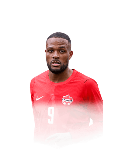 Larin image