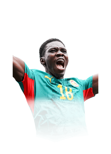 Sarr image