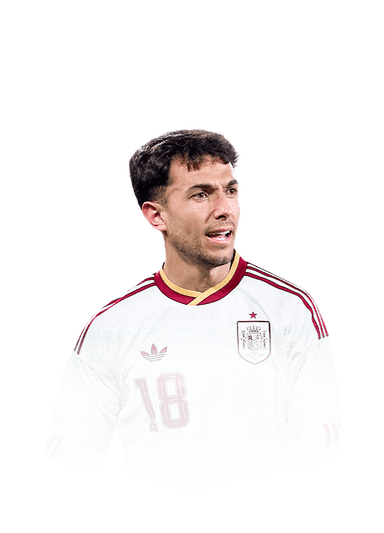 Zubimendi image