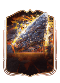 collection-type-image