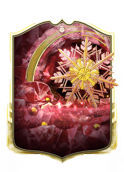 collection-type-image