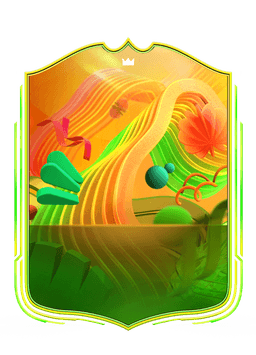 collection-type-image